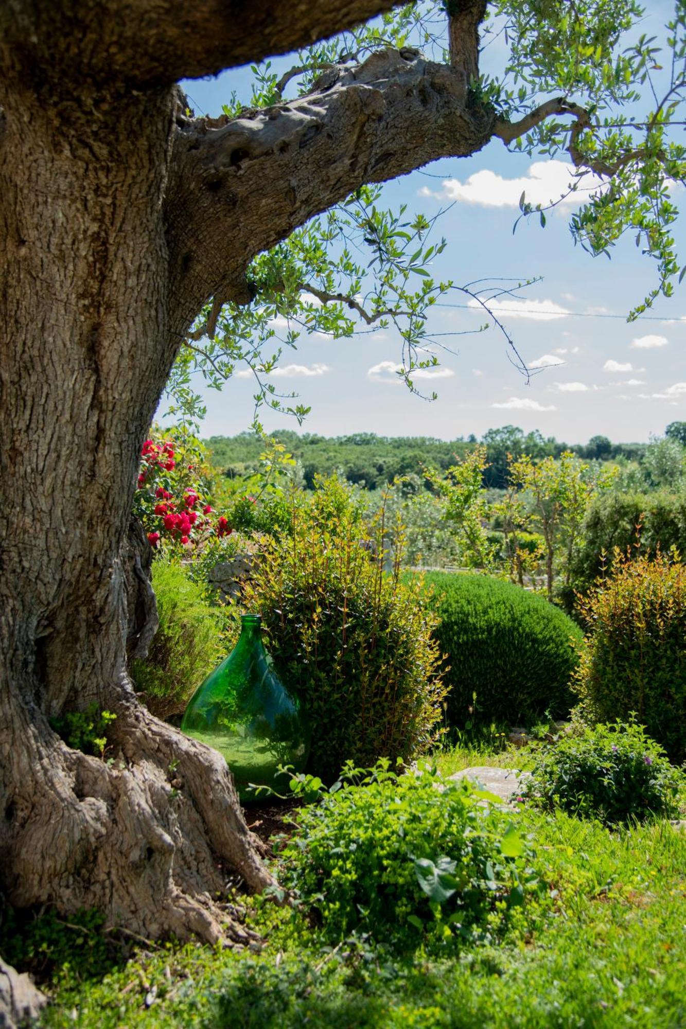 Villa Trulli Arco Antico Locorotondo Exterior foto
